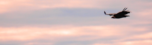 Vídeos para particulares Trabajos de vídeo para particulares